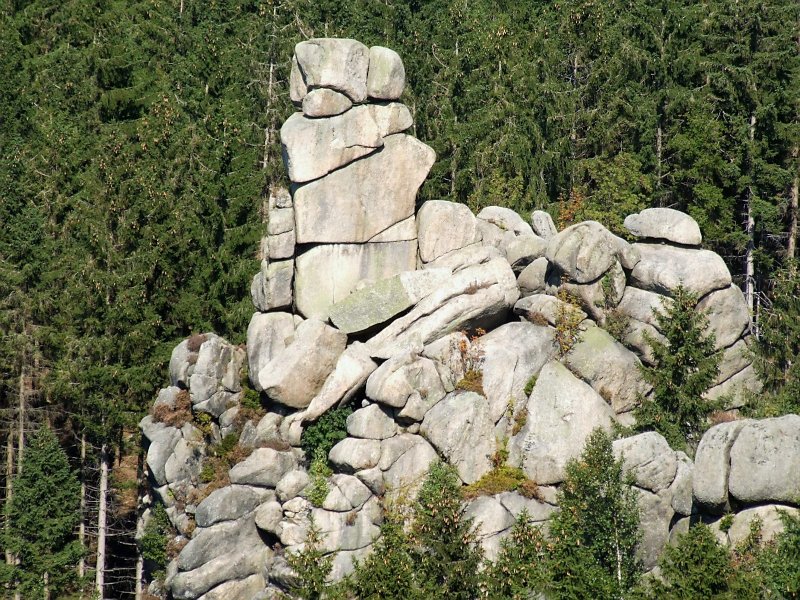 Feigenbaumklippen im Harz