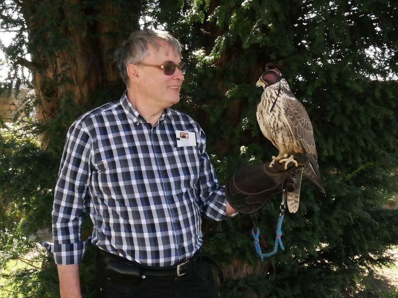 Burg Falkenstein im Harz