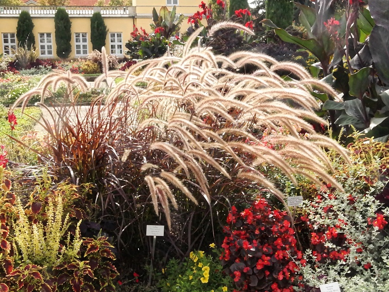 Herrenh&auml;user G&auml;rten und Sealife in Hannover