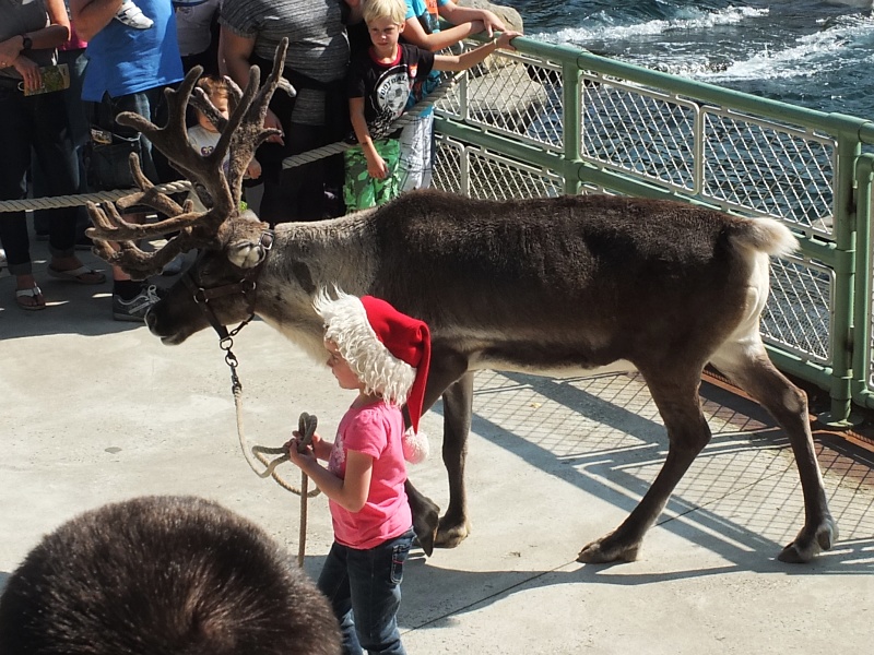 M&auml;dchen mit Rentier im Zoo Hannover