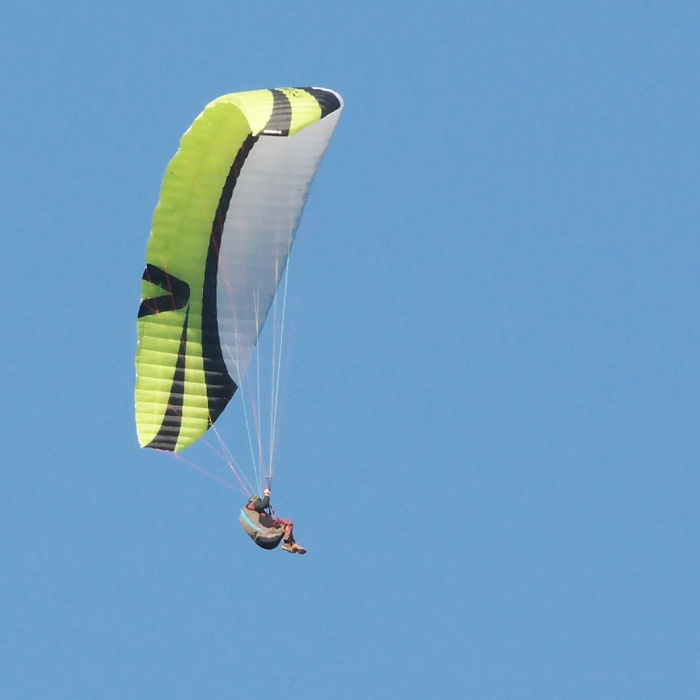 Gegensteine im Harzvorland