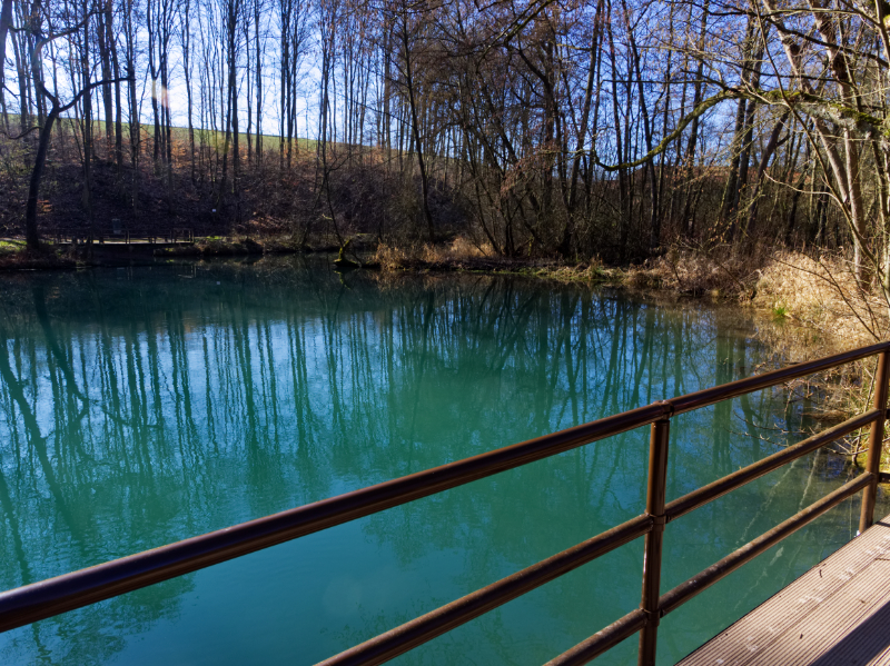 Die Rhumequelle am S&uuml;drand des Harzes