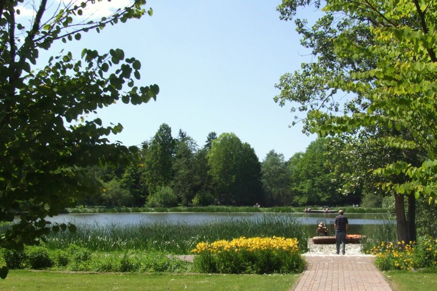 Im Schulgarten in Braunschweig