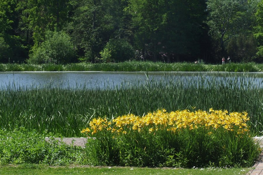 Im Schulgarten in Braunschweig