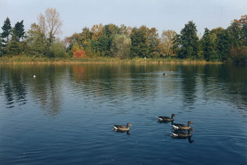 See im Schulgarten in Braunschweig