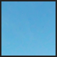 2021-04-28_Schluesselblumen_Liebenburg_t_1l_1_3.jpg