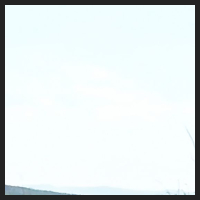 2021-04-28_Schluesselblumen_Liebenburg_t_1r_2_4.jpg